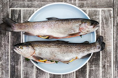buchholzer hoefe shops fisch kroeger forellen small